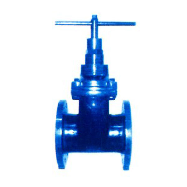 Gate Valves with Lock-Out Function (5)